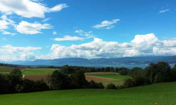 Zum Neuenburgersee