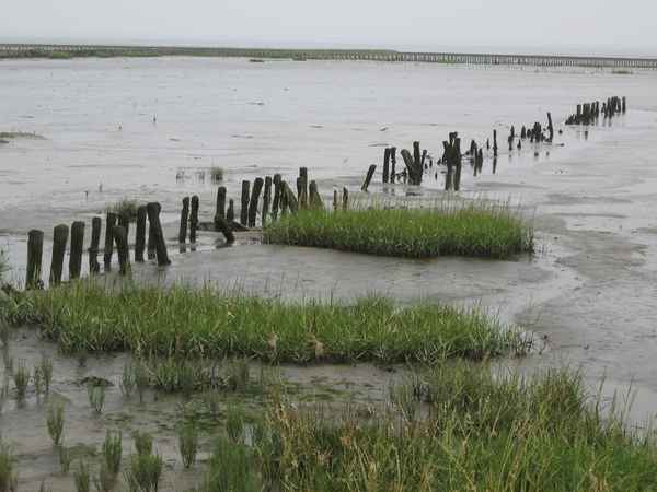 Nordseestrand bei Ebbe