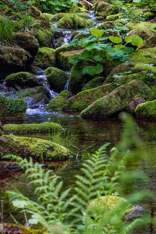 Quellfluss am Stausee_hoch_2