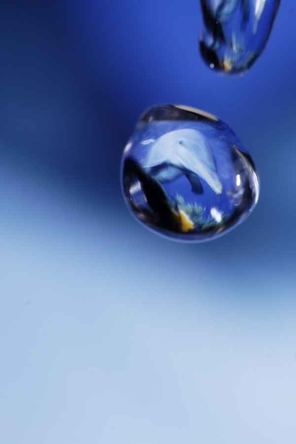 blubb