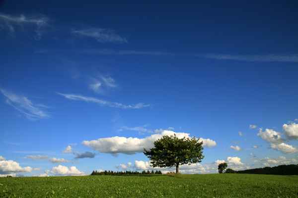 Himmelswiese_4