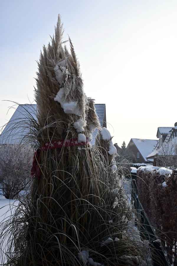 Gut verpackt dem Sturm getrotzt