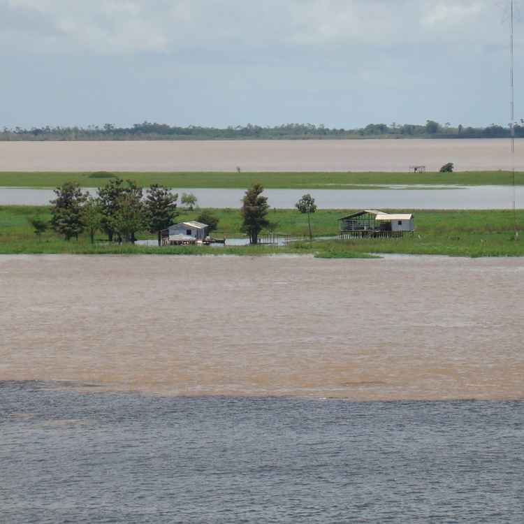 Amazonas nähe Manaus