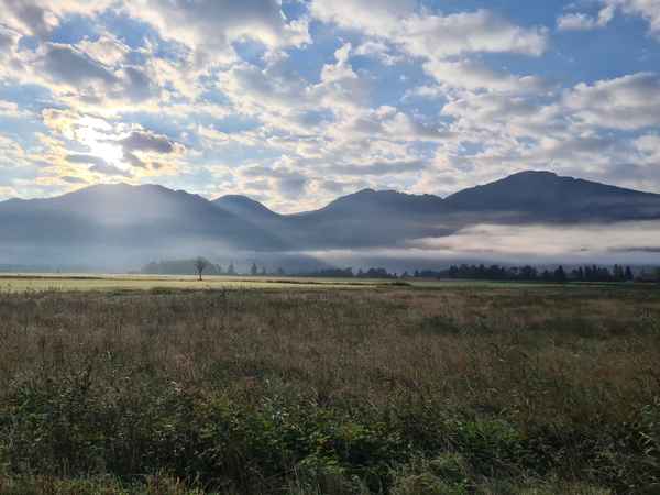 Herbstnebel