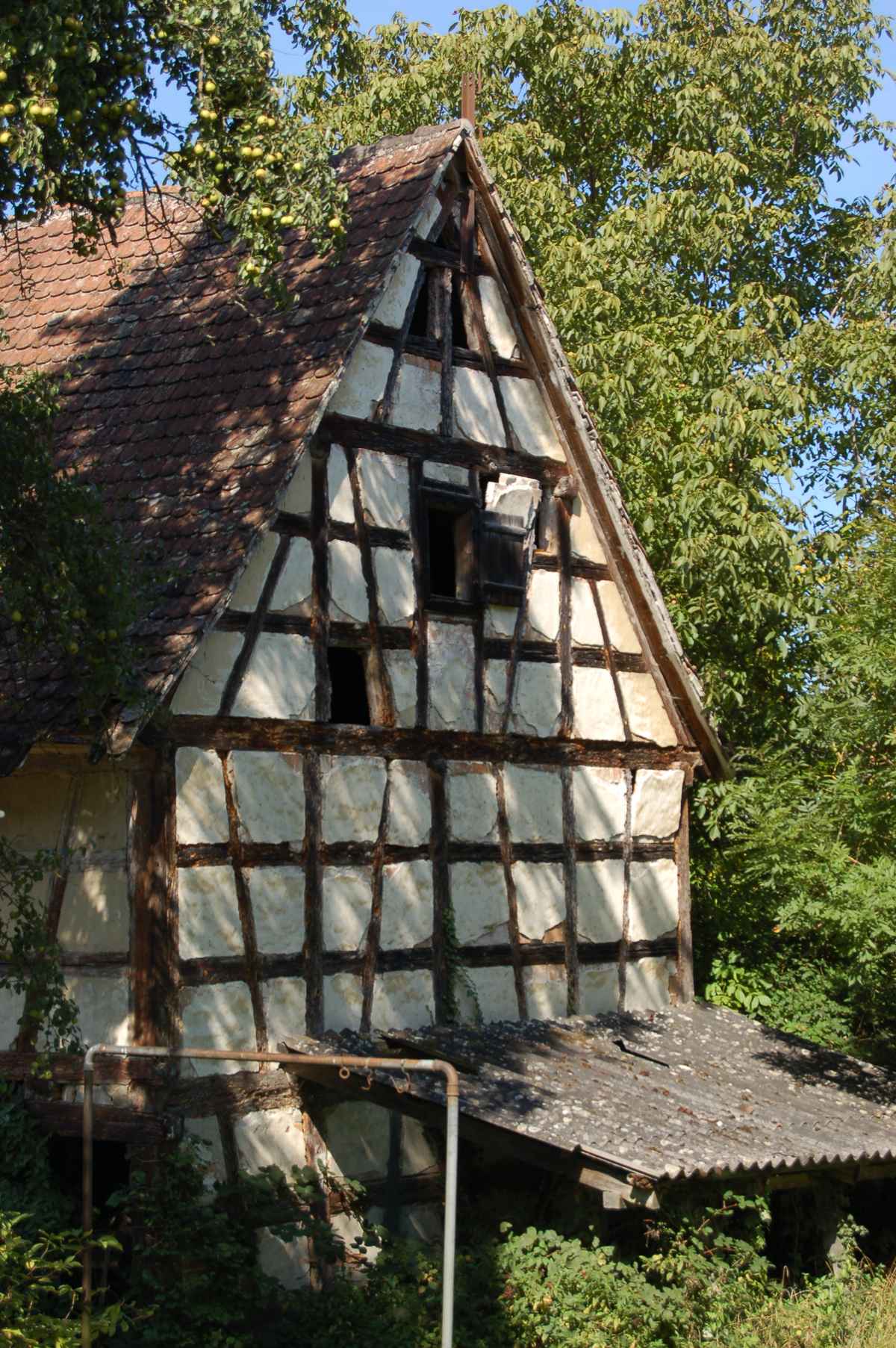 Fachwerk-Scheune in Bodman am Bodensee