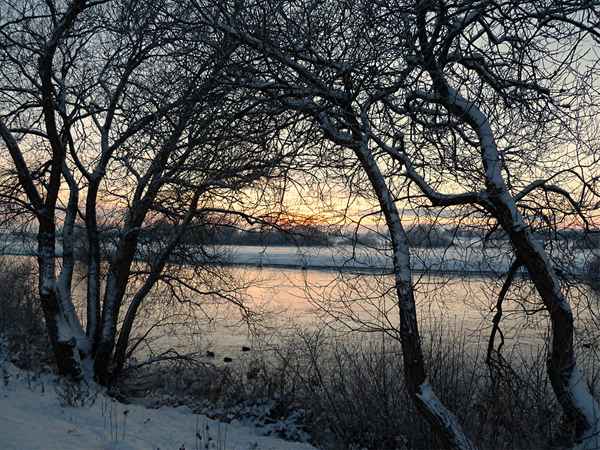 Winterabend an der Aller 2