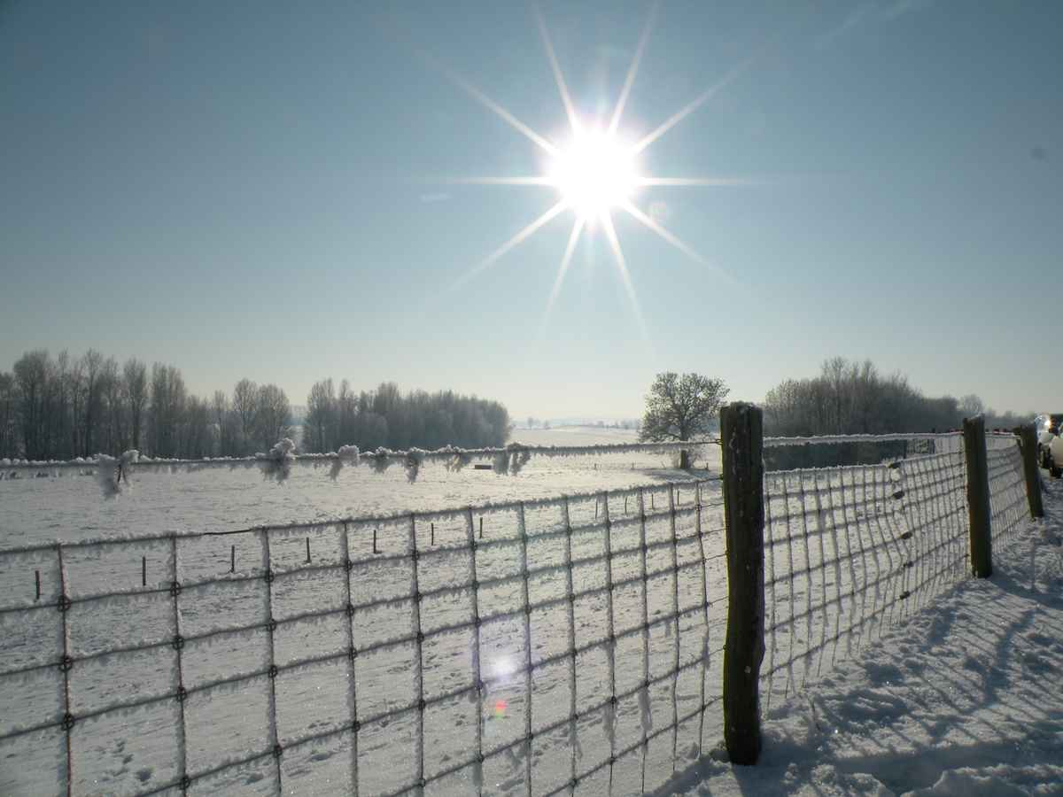 Winterimpressionen 16