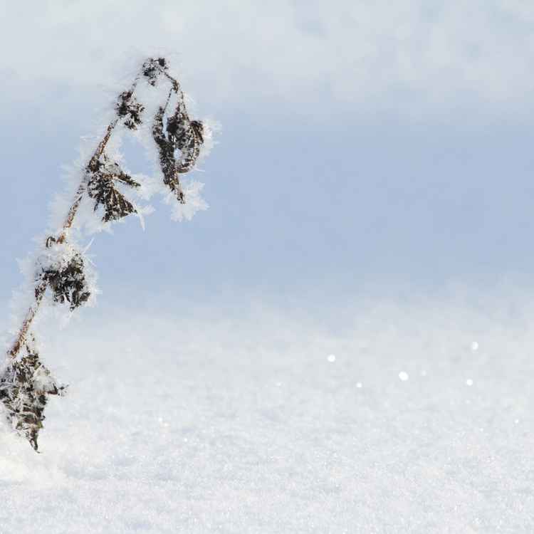 Winterbild