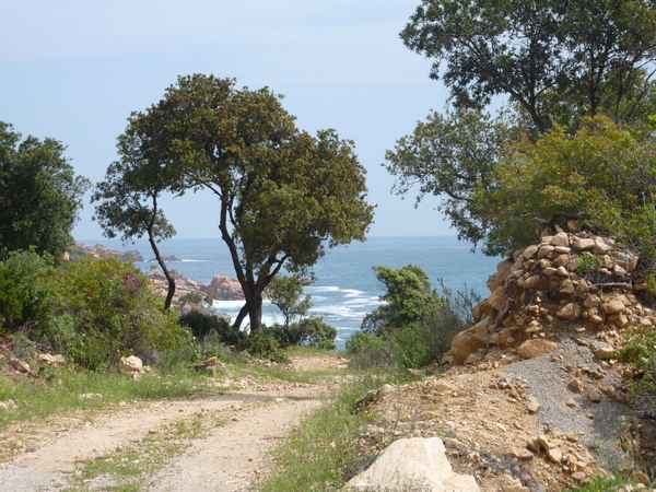 Weg zum Meer