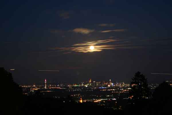Frankfurt bei Nacht von Falkenstein