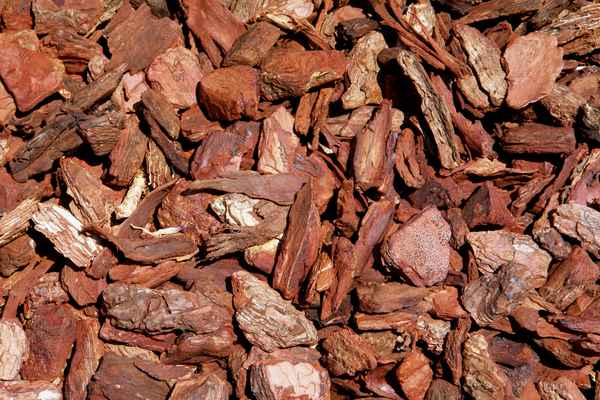 Wallpaper Rindenmulch