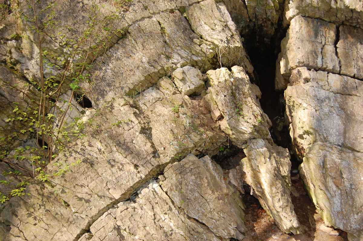 Der Tillmannsdorfer Sattel im Bergischen Land #3
