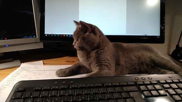 Homeoffice 2021