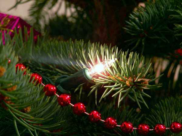 Weihnachtsbaum