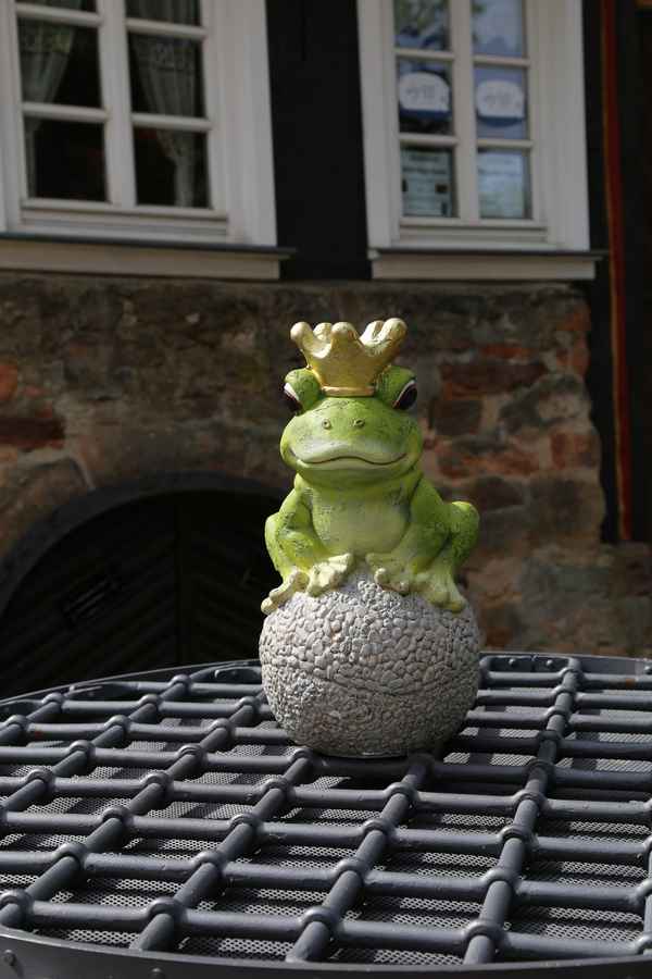 Der Froschkönig