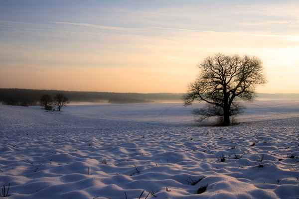 Winterlandschaft