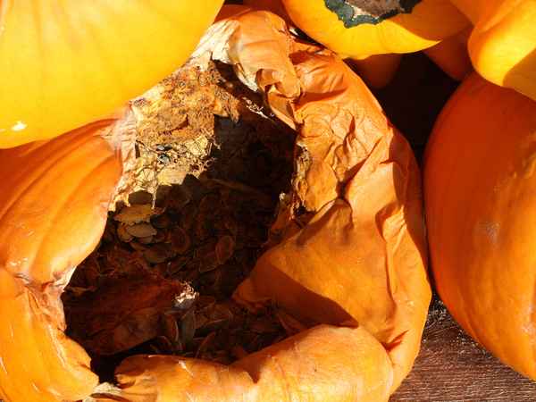 "NICHT SO FESTE DRÜCKEN!"