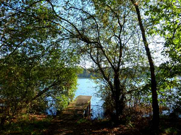Steg am sommerlichen See