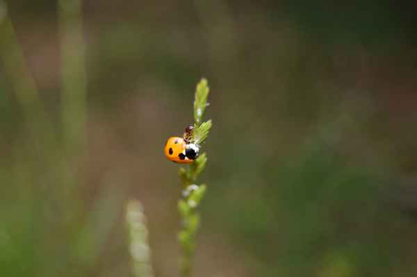 Ungewöhnliche Kuschelzeit