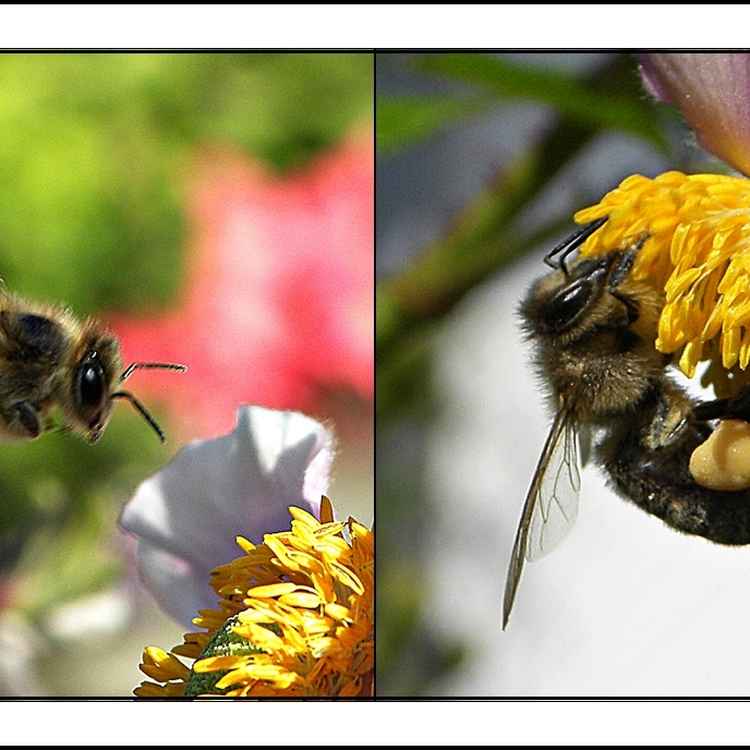 Im Anflug und nach der Landung