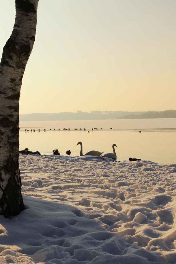 Nachmittags am See 02