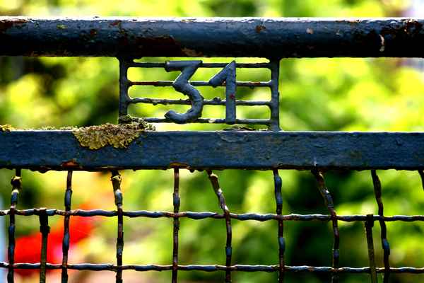 Schrebergarten Nr.31