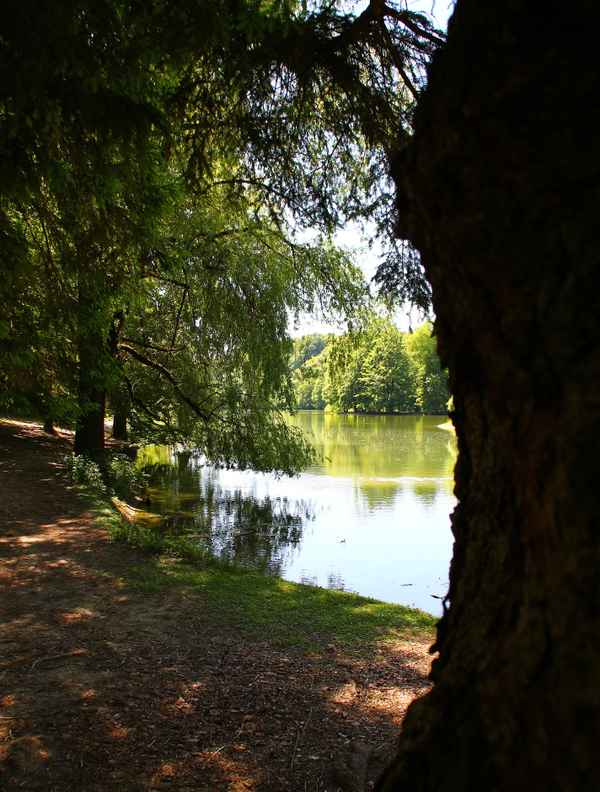 Hinterbrühler See 03
