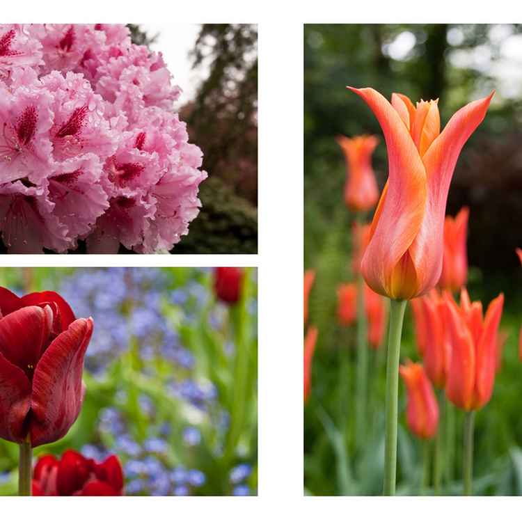 Frühlingsinspirationen