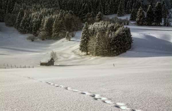 Winterlandschaft