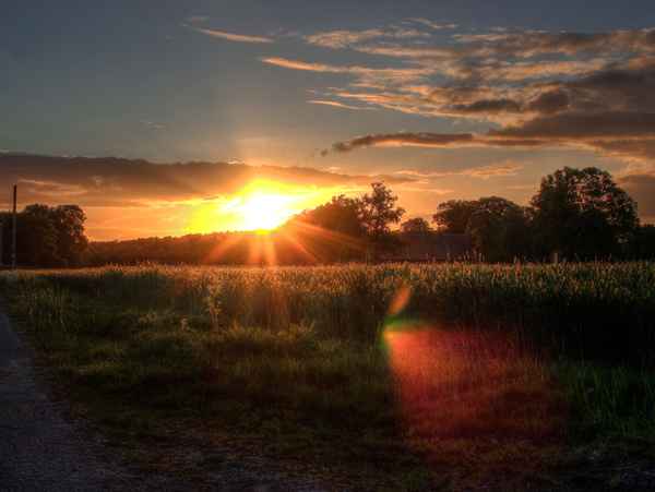 Sunset im Münsterland