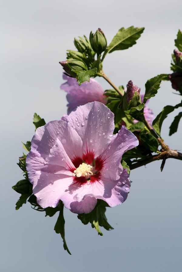 nach regen folgt sonnenschein...