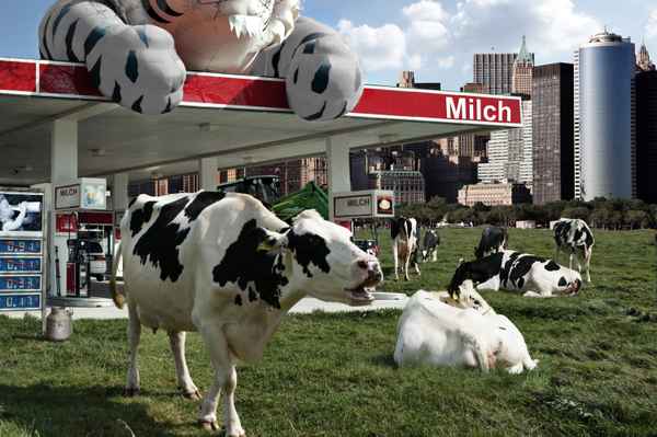 Milchpreise ??