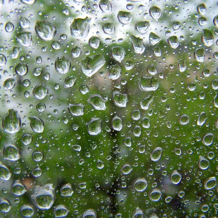 Raindrops
