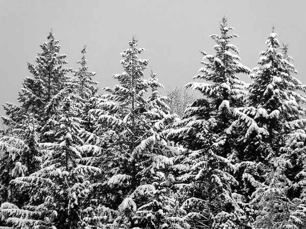 Wintertristesse