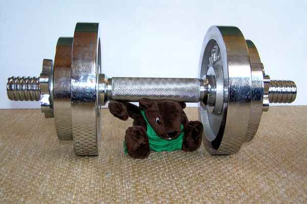 Lass dich nicht unterkriegen !