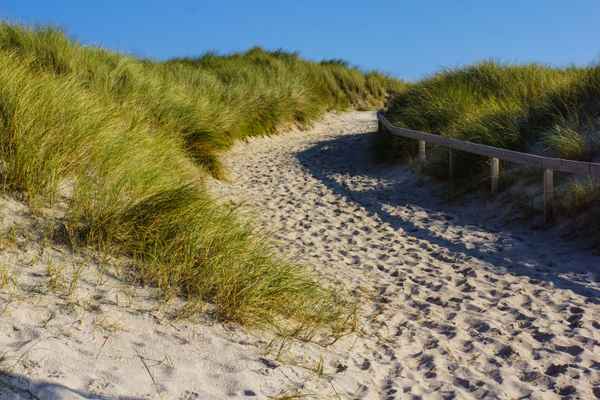 Insel Sylt - Wege zum Strand 1