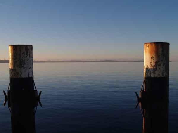 Poller in der Abendsonne