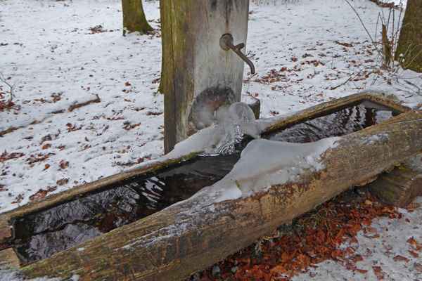 Alter Waldbrunnen