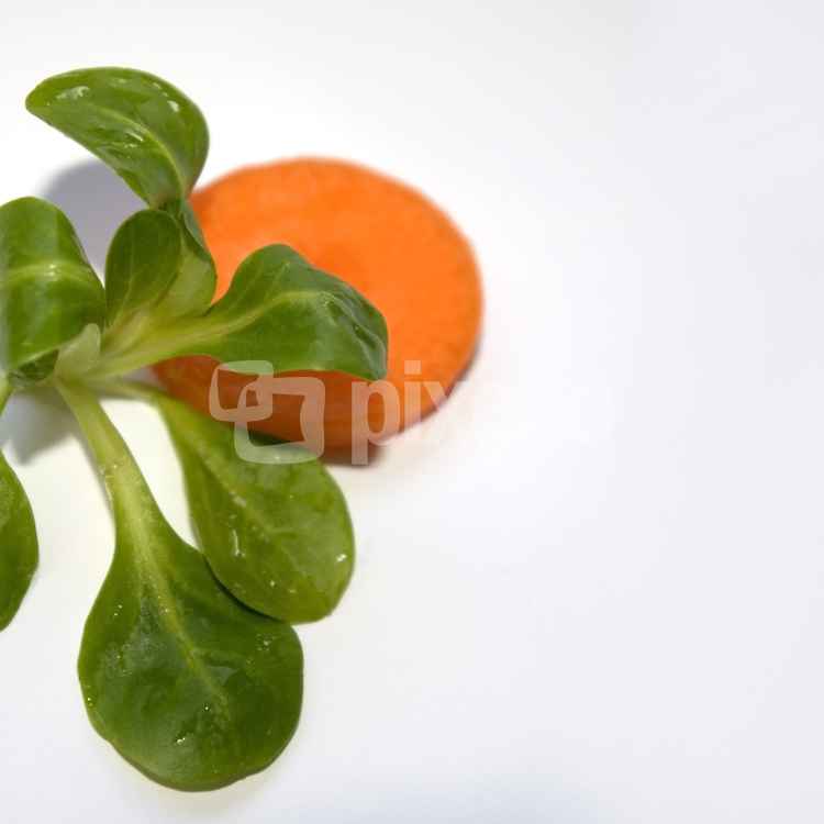 Food Desgin