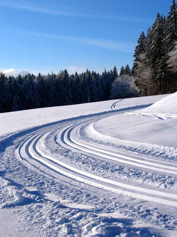 Schwungvoll in die neue Ski-Saison