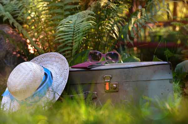 Dem Sommer hinterher