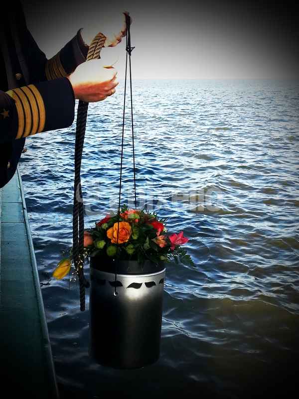 in memory of ...