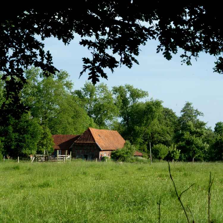 Der einsame Bauernhof