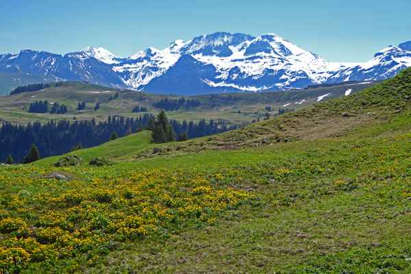 Geltenhorn und Arpelistock