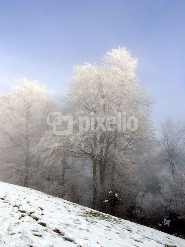 Eiszauber