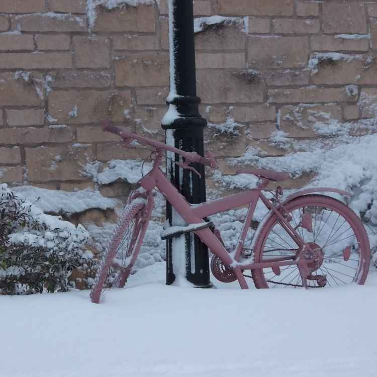 altrosa Fahrrad
