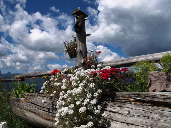 Stilleben in den Bergen
