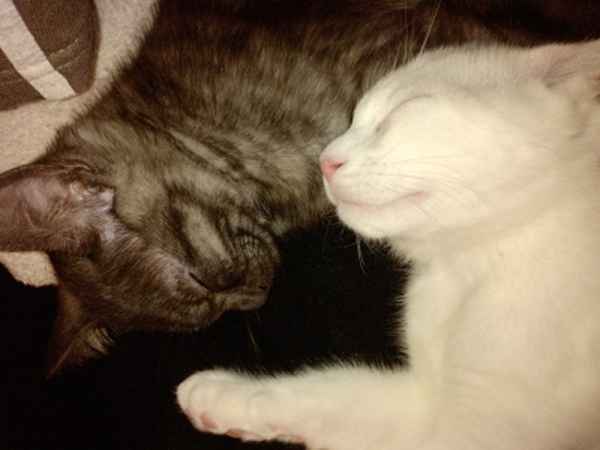 zzzZZZzzz
