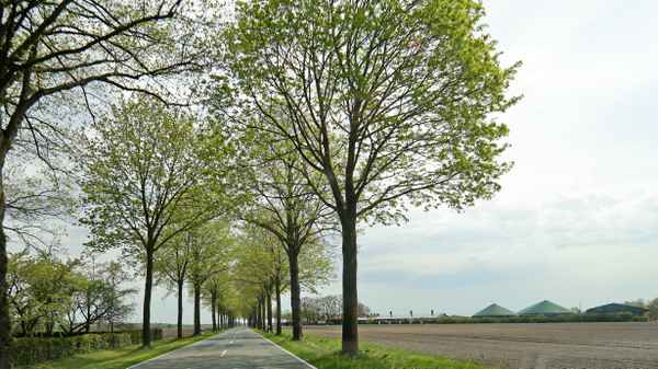 fahrt in den frühling 1