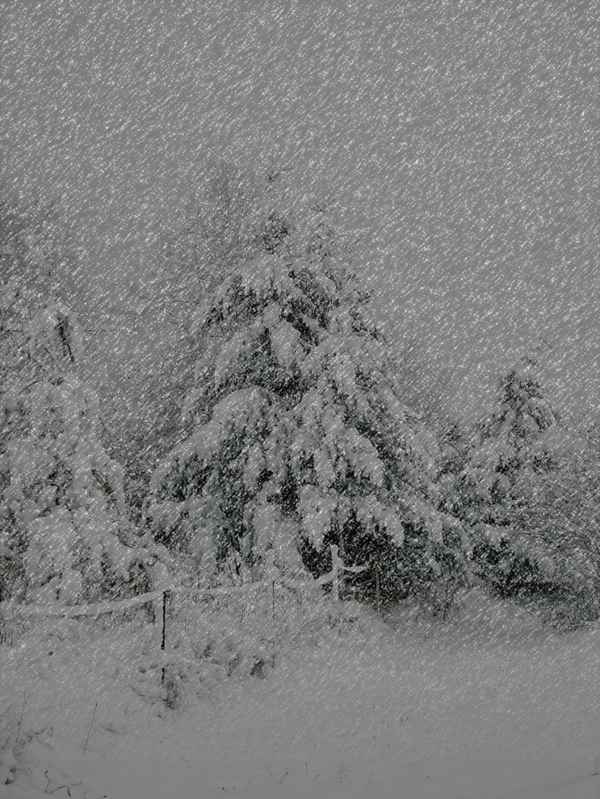 Schneetreiben kurz vor Weihnachten